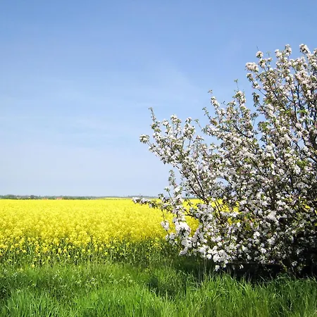 Apartamento Ostseeblick By Interhome Lancken