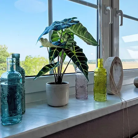 Apartamento Ostseeblick By Interhome *